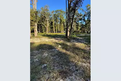 460 NE 364th Avenue, Old Town, FL 32680 - Photo 1