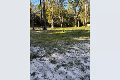 460 NE 364th Avenue, Old Town, FL 32680 - Photo 2