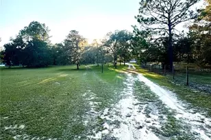 2329 NE 80th Ave, High Springs, FL 32643 - Photo 42