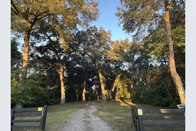 6531 NW 82nd Court, Chiefland, FL 32626 - Photo 18