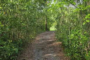 18566 NW 242nd St, High Springs, FL 32643 - Photo 10