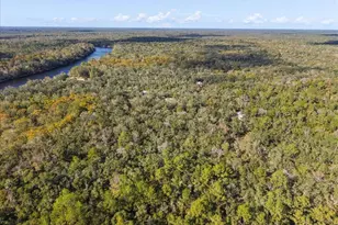 7639 NW 6th St, Bell, FL 32619 - Photo 32