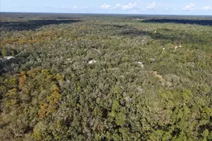 7639 NW 6th St, Bell, FL 32619 - Photo 34