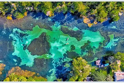 19715 SW 93rd Lane Road, Dunnellon, FL 34432 - Photo 36