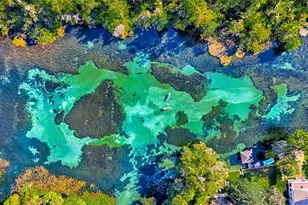 19715 SW 93rd Lane Rd, Dunnellon, FL 34432 - Photo 36