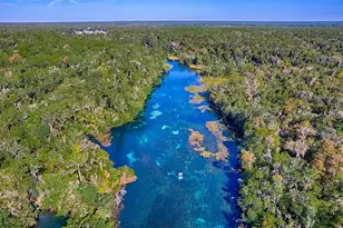 19715 SW 93rd Lane Rd, Dunnellon, FL 34432 - Photo 34