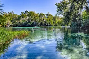 19715 SW 93rd Lane Rd, Dunnellon, FL 34432 - Photo 32