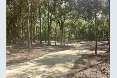 Sw 20th Street, Bell, FL 32619 - Photo 4