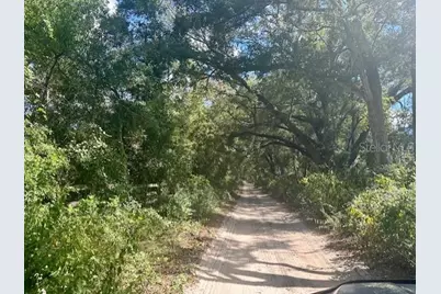 Sw 20th Street, Bell, FL 32619 - Photo 6