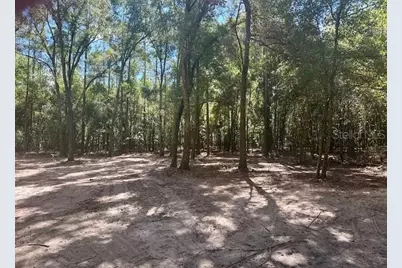 Sw 20th Street, Bell, FL 32619 - Photo 8