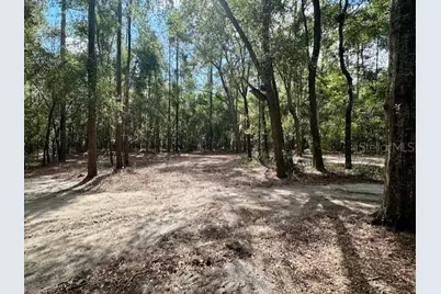 Sw 20th Street, Bell, FL 32619 - Photo 10