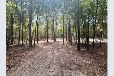 Sw 20th Street, Bell, FL 32619 - Photo 12