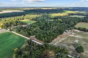 4654 NW 45th Ave, Bell, FL 32619 - Photo 48