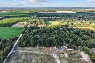 4654 NW 45th Ave, Bell, FL 32619 - Photo 46