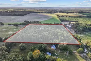 4654 NW 45th Ave, Bell, FL 32619 - Photo 40