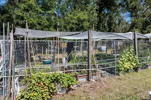 3039 113th Rd, Live Oak, FL 32060 - Photo 26