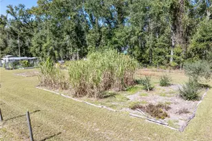 3039 113th Rd, Live Oak, FL 32060 - Photo 44