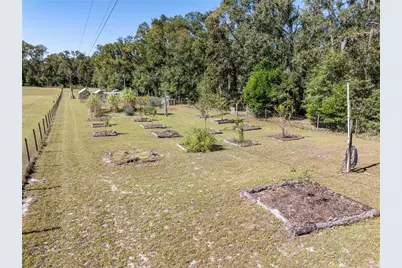 3039 113th Road, Live Oak, FL 32060 - Photo 42