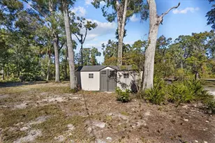 1566 NE 262nd Ave, Old Town, FL 32680 - Photo 24