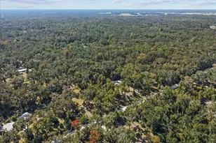 1566 NE 262nd Ave, Old Town, FL 32680 - Photo 34