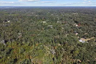 1566 NE 262nd Ave, Old Town, FL 32680 - Photo 30