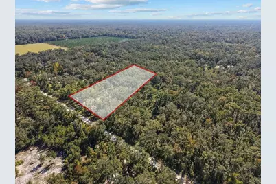 1566 NE 262nd Avenue, Old Town, FL 32680 - Photo 28