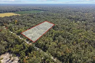 1566 NE 262nd Ave, Old Town, FL 32680 - Photo 28