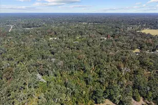 1566 NE 262nd Ave, Old Town, FL 32680 - Photo 32