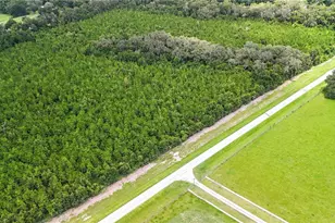 7906 SW County Rd 346, Archer, FL 32618 - Photo 2