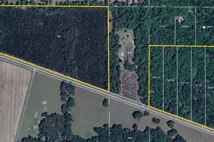 7906 SW County Rd 346, Archer, FL 32618 - Photo 4