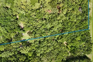 7906 SW County Rd 346, Archer, FL 32618 - Photo 6