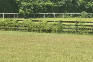 10630 NW 153rd Terrace, Alachua, FL 32615 - Photo 46