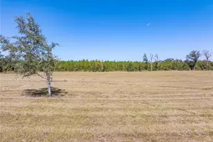 15034 N County Rd 349, Live Oak, FL 32060 - Photo 30
