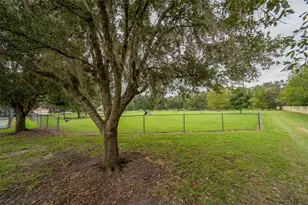 14652 NW 27th Ave, Newberry, FL 32669 - Photo 20