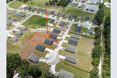 3291 E Iris Lane, Bell, FL 32619 - Photo 4