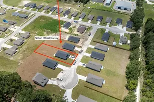 3291 E Iris Ln, Bell, FL 32619 - Photo 4