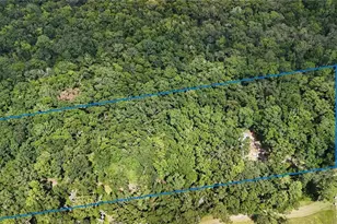 8146 SW County Rd 346, Archer, FL 32618 - Photo 4