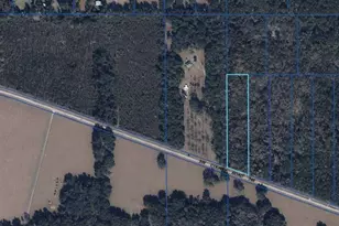 8146 SW County Rd 346, Archer, FL 32618 - Photo 2