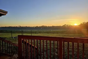 10020 NW 7th Terrace, Branford, FL 32008 - Photo 34