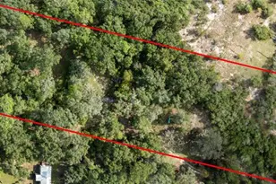 6639 Co Rd 214, Keystone Heights, FL 32656 - Photo 2