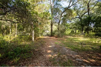 6639 County Road 214, Keystone Heights, FL 32656 - Photo 16