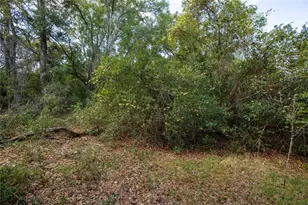 6639 Co Rd 214, Keystone Heights, FL 32656 - Photo 10