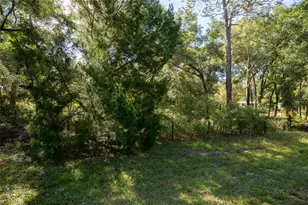6639 Co Rd 214, Keystone Heights, FL 32656 - Photo 20