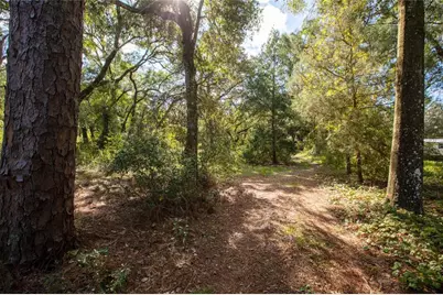 6639 County Road 214, Keystone Heights, FL 32656 - Photo 18