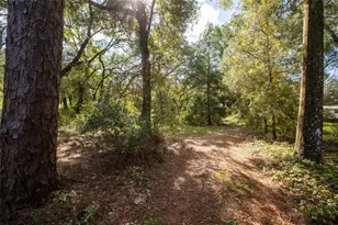 6639 Co Rd 214, Keystone Heights, FL 32656 - Photo 18