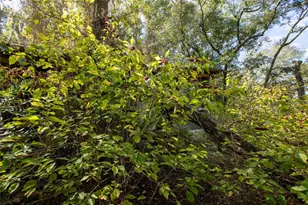 6639 Co Rd 214, Keystone Heights, FL 32656 - Photo 14