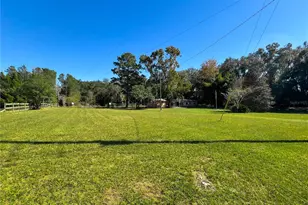 4217 NW 202nd St, Newberry, FL 32669 - Photo 54