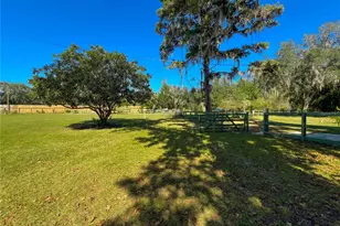 4217 NW 202nd St, Newberry, FL 32669 - Photo 48