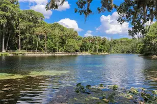 5860 SE 183rd Terrace, Ocklawaha, FL 32179 - Photo 48