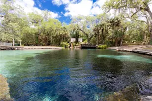 5860 SE 183rd Terrace, Ocklawaha, FL 32179 - Photo 42